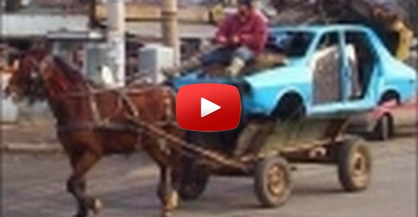 Carro Cavalo